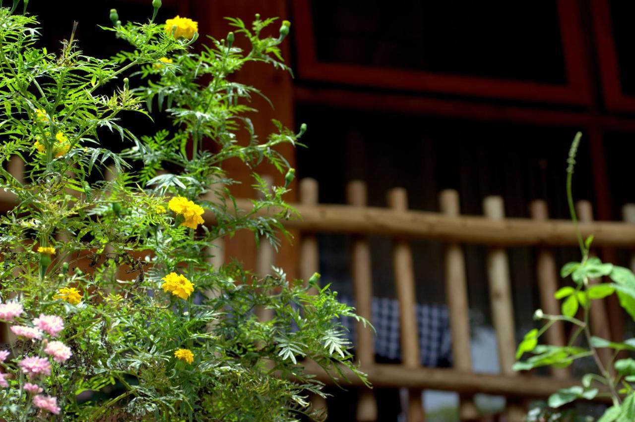 Ella Wood Cabin Dış mekan fotoğraf