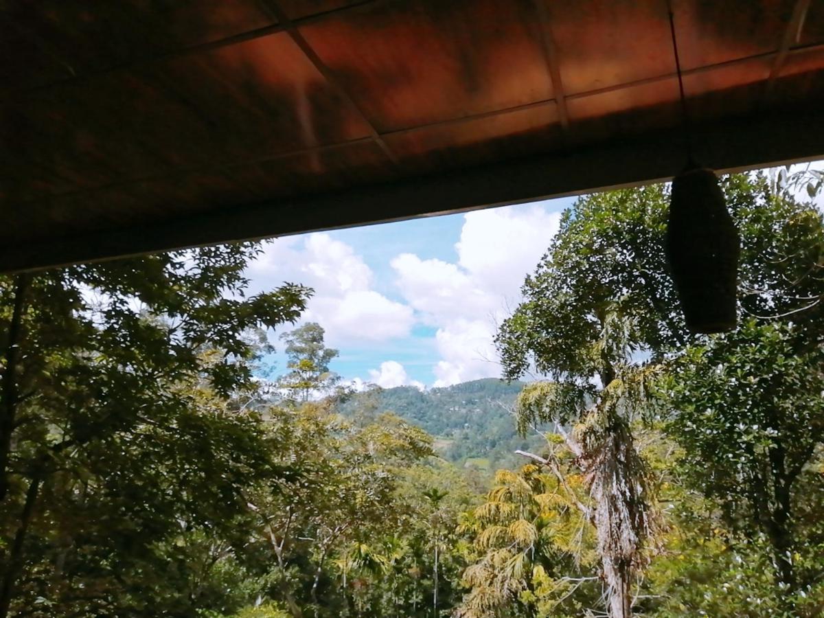 Ella Wood Cabin Dış mekan fotoğraf