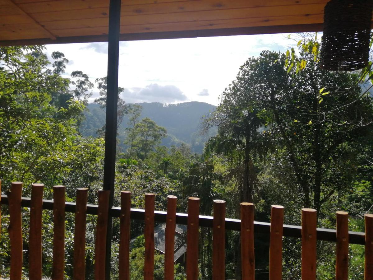 Ella Wood Cabin Dış mekan fotoğraf